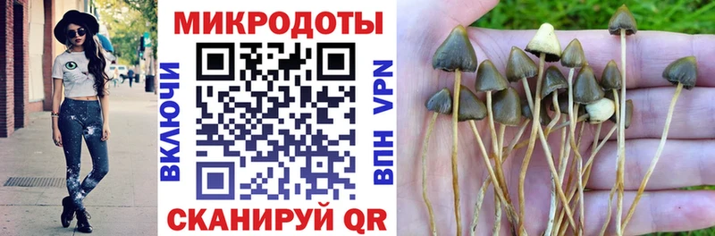 купить   Чулым  Галлюциногенные грибы прущие грибы 